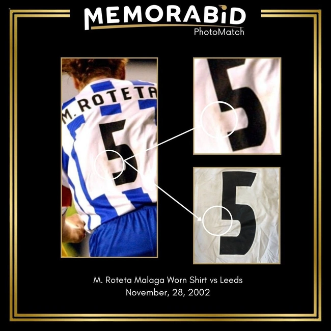 cover of the auction item