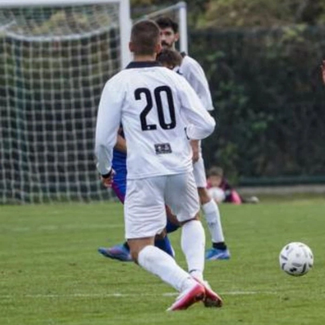 cover image of the auction item