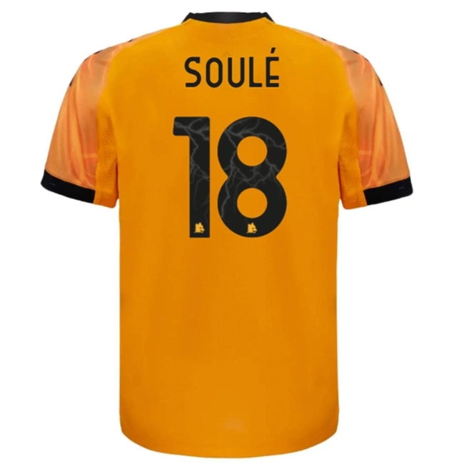 cover of the auction item