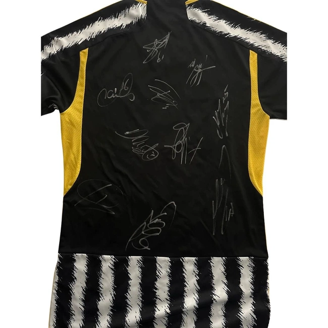 cover image of the auction item