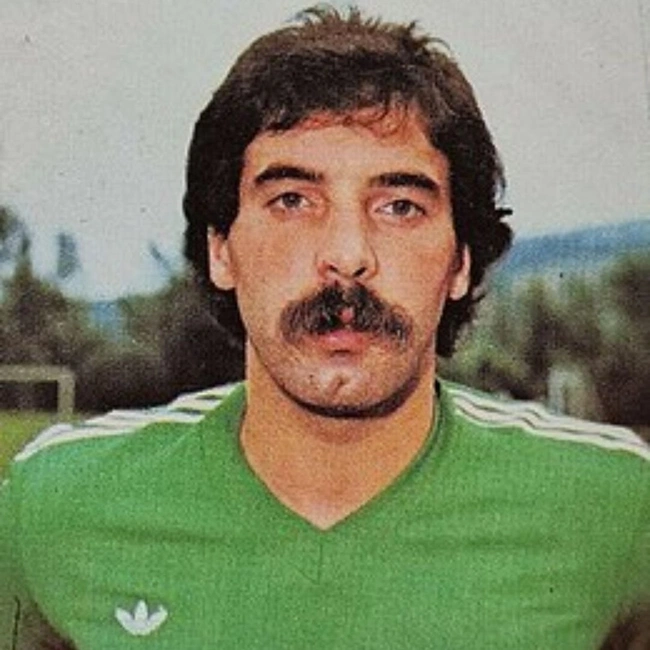 cover image of the auction item