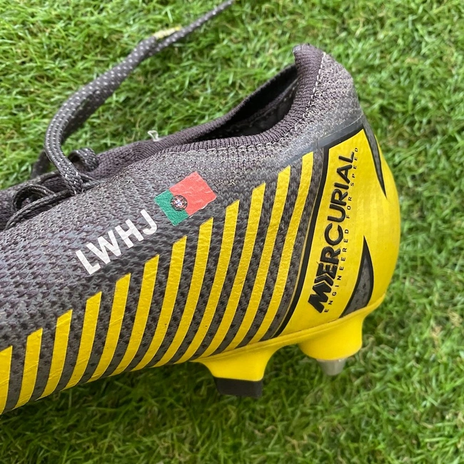 cover of the auction item