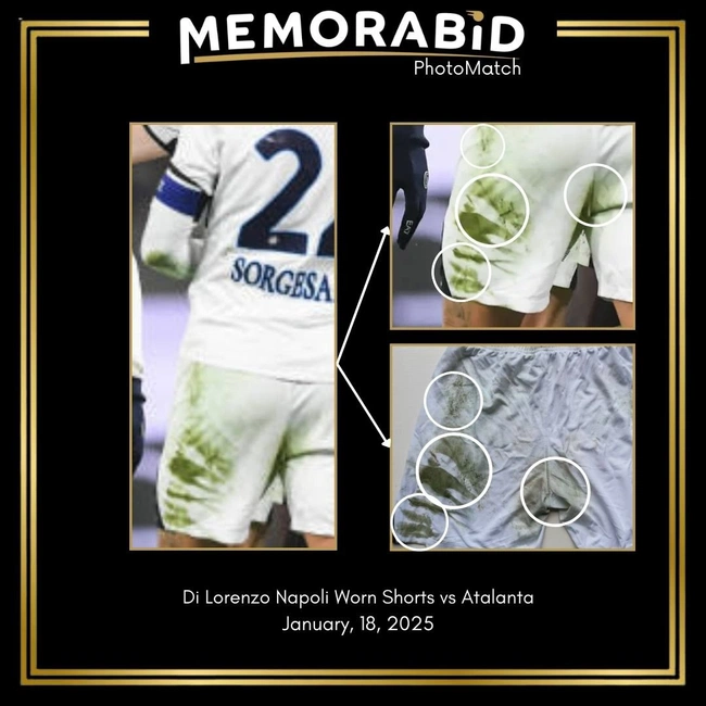 cover image of the auction item