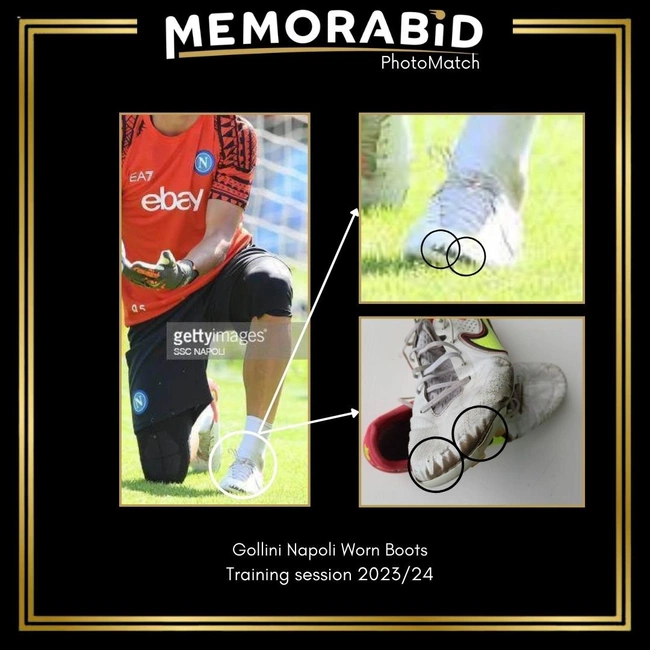 cover image of the auction item