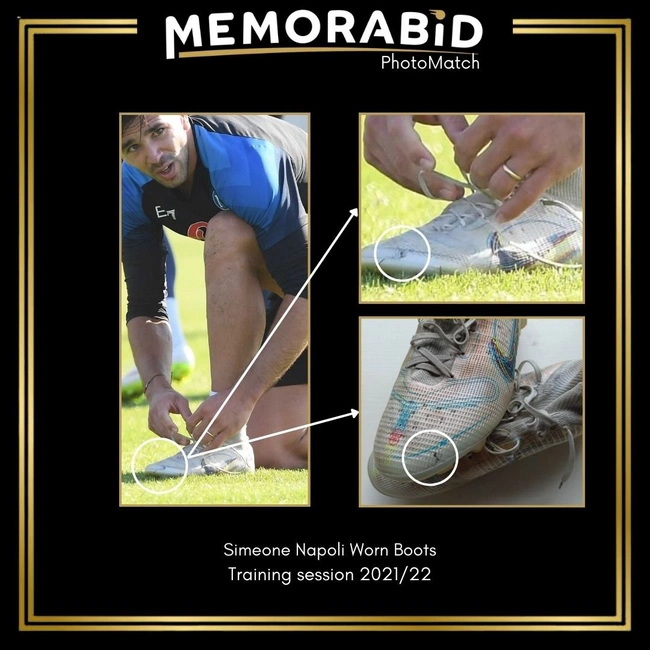 cover image of the auction item