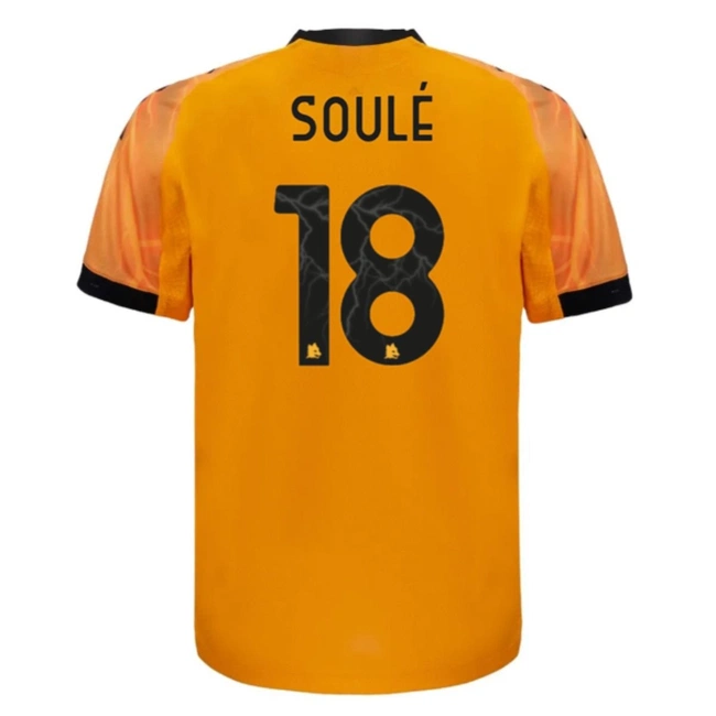 cover of the auction item