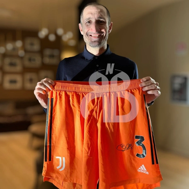 cover of the auction item