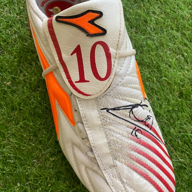 cover of the auction item