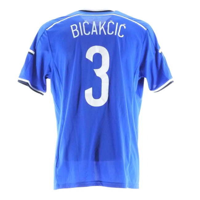 cover image of the auction item