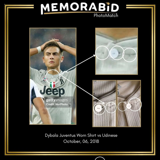 cover of the auction item