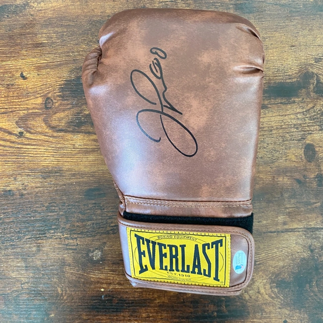 cover of the auction item