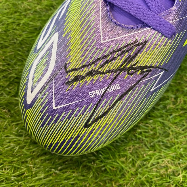 cover image of the auction item