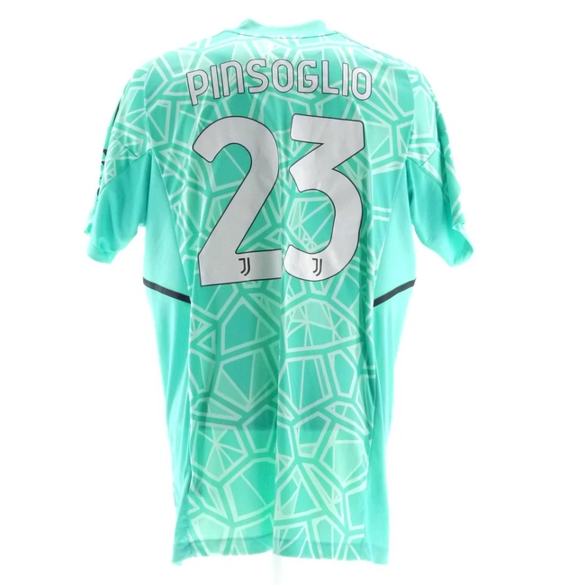 cover of the auction item