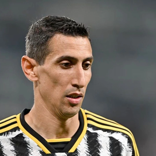 cover of the auction item