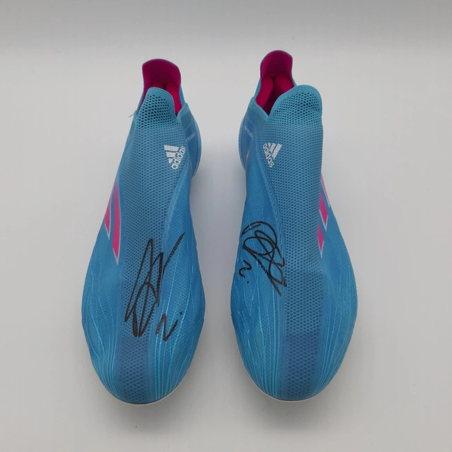 cover of the auction item