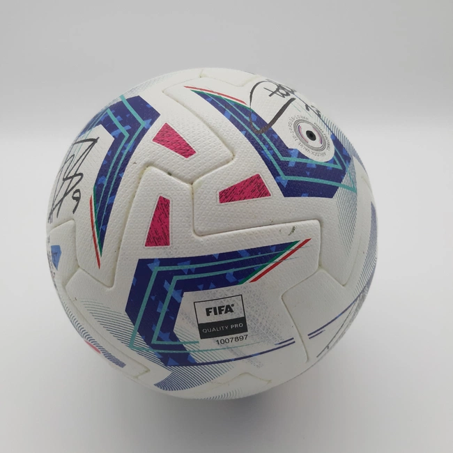 cover of the auction item