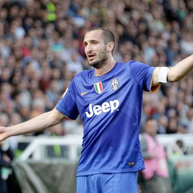 cover of the auction item