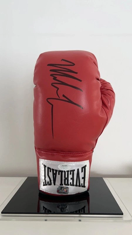 cover image of the auction item