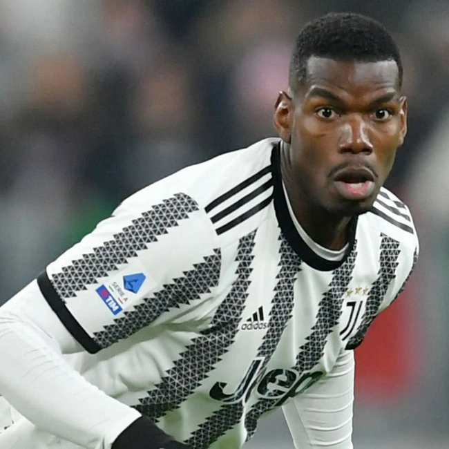 cover of the auction item