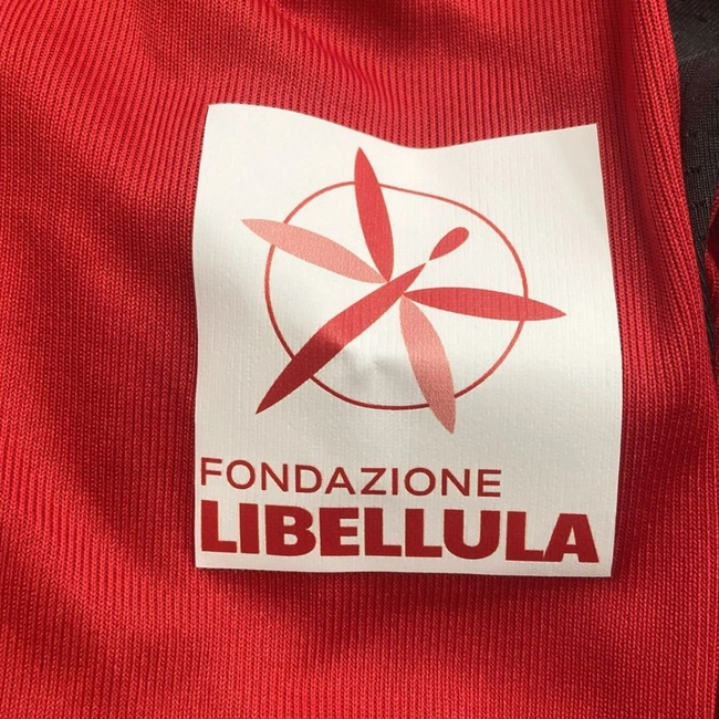 cover of the auction item