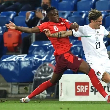 cover image of the auction item