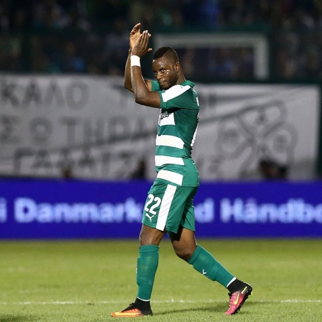 cover of the auction item