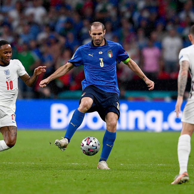 cover image of the auction item