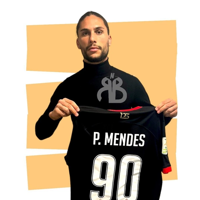 cover of the auction item