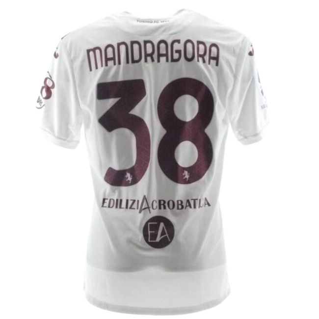 cover of the auction item