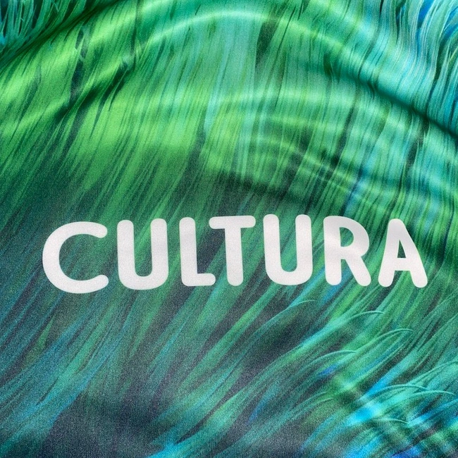 cover of the auction item