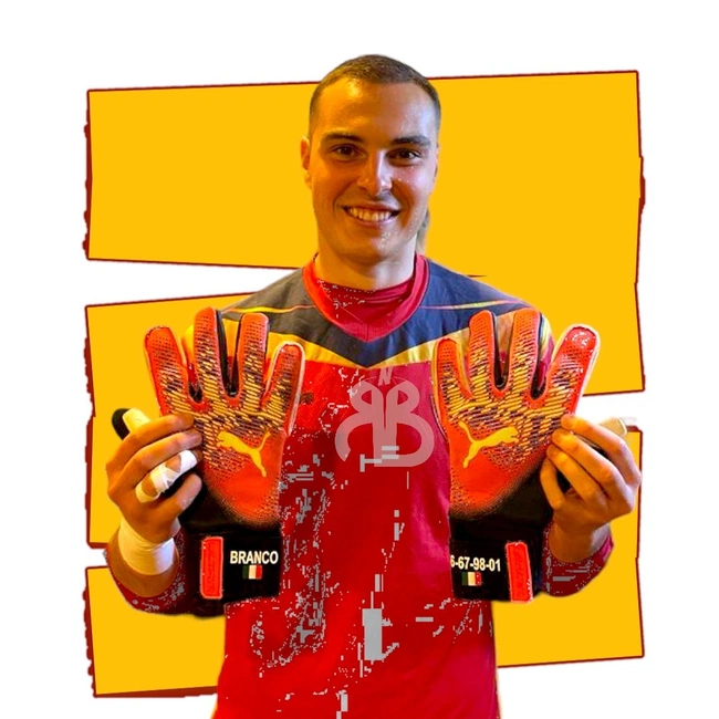 cover image of the auction item