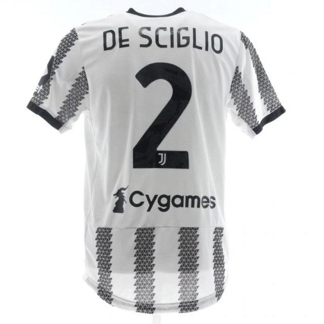 cover of the auction item