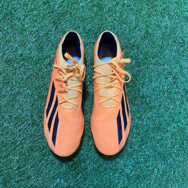 cover of the auction item